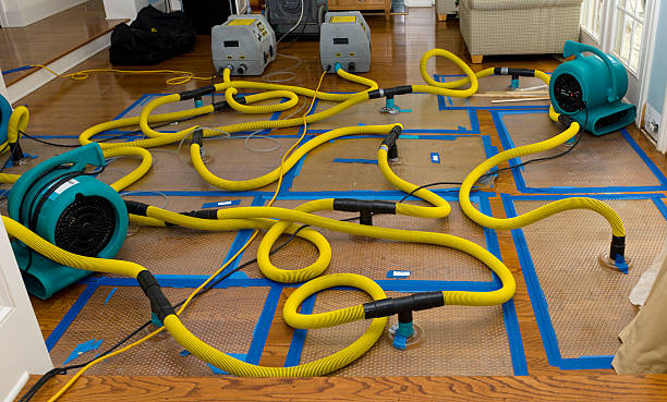 Professional Sewage Cleanup technician working in Henrietta, TX